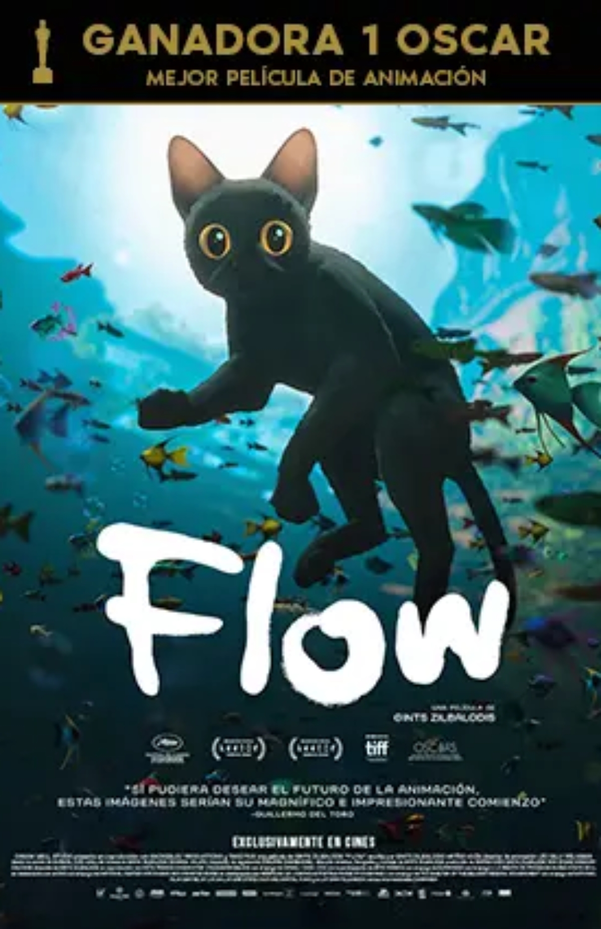 Flow