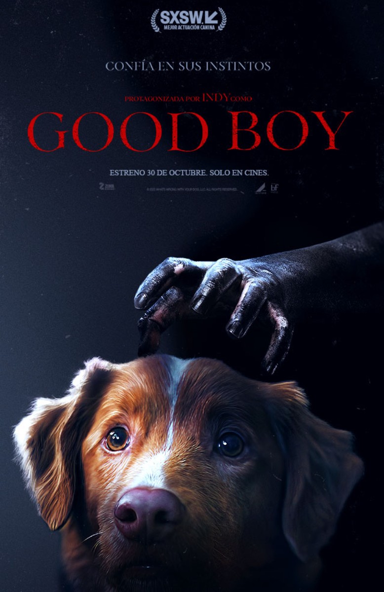 Good Boy