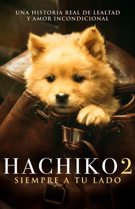 Hachiko 2: Siempre a tu Lado