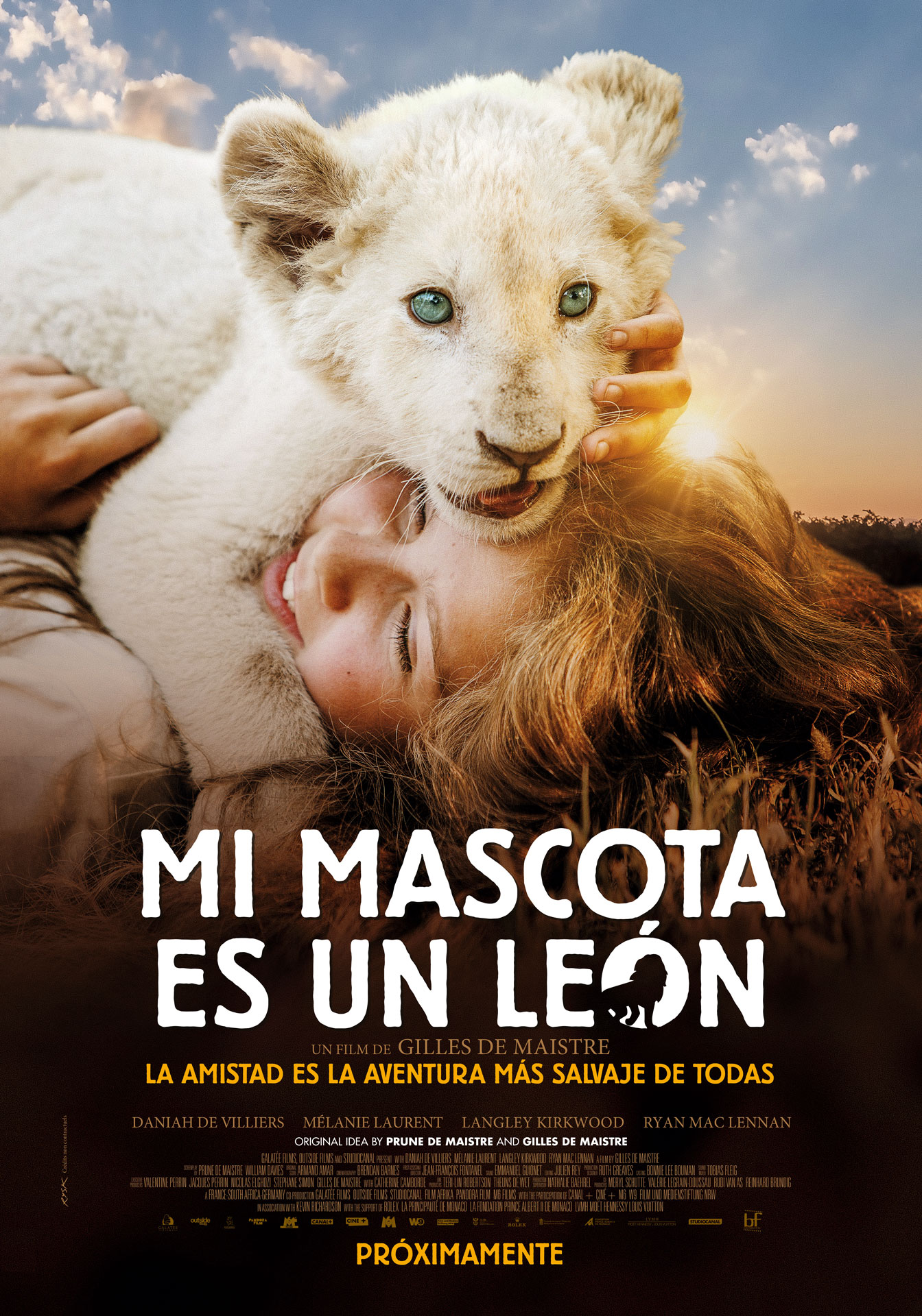 Mi mascota es un leon