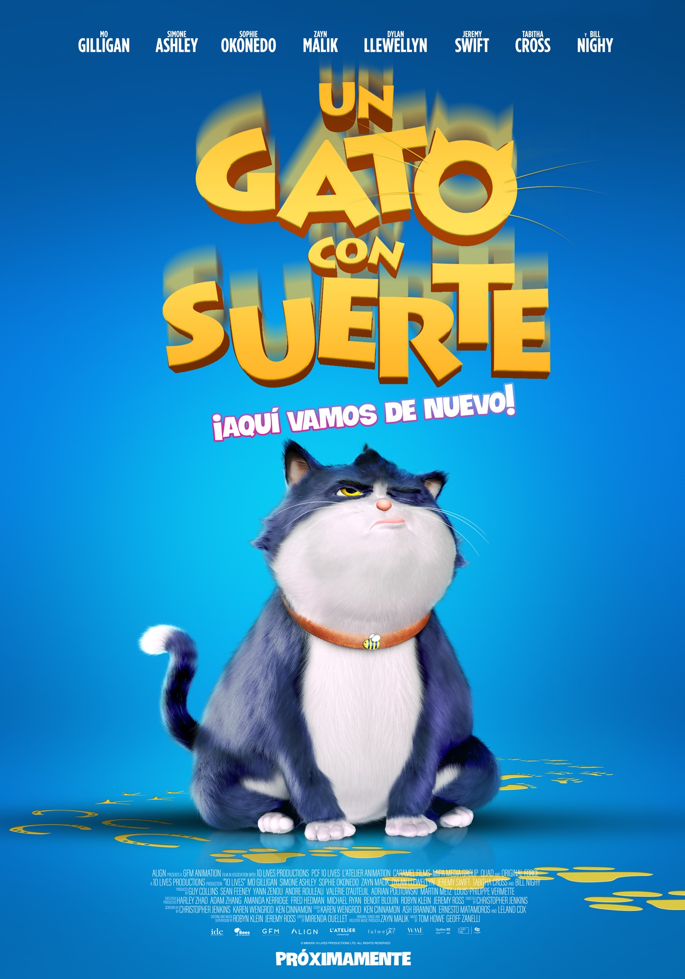 Un Gato Con Suerte